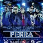 Alkapon y Falcon Ft. Ñengo Flow - Perra Remix MP3