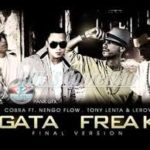 Cobra Ft Ñengo Flow, Tony Lenta, Real Cheese - Gata Freak MP3